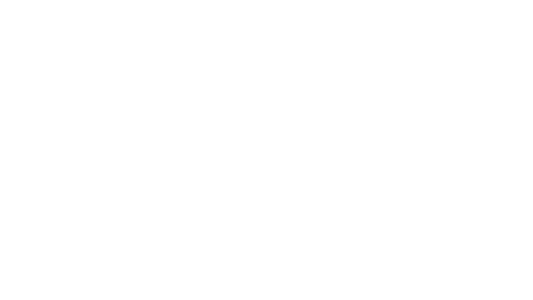 Logo - ProtoPixel